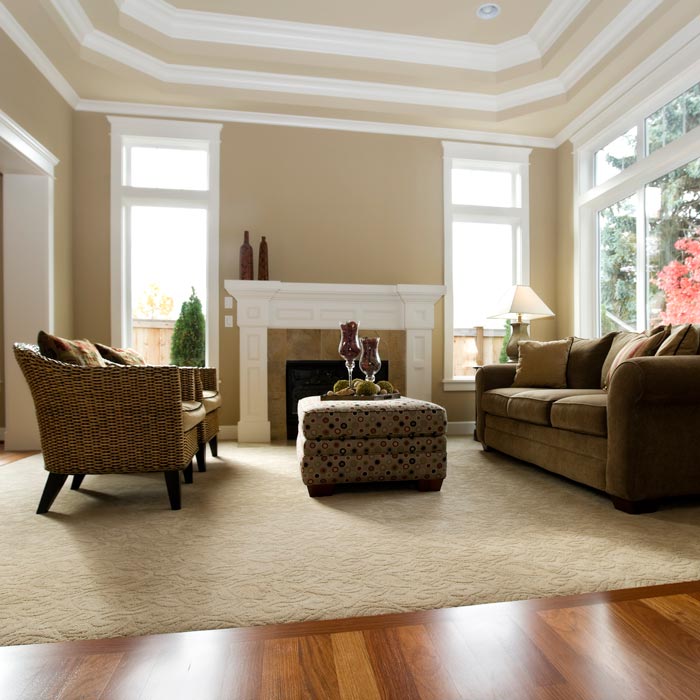 carpet and hardwood in living room